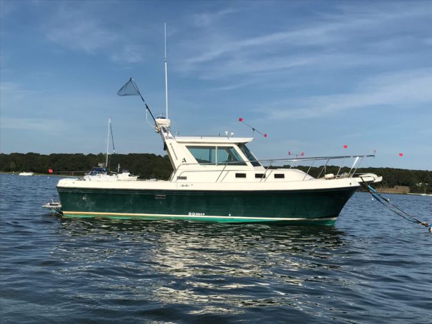Albin 28 Reviews / Specs Albin 28 Reviews Specs, For Sale