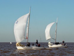 J/24s sailing off Buenos Aires, Argentina