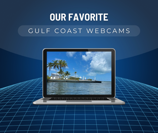 Our Favorite Gulf Coast Webcams