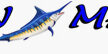 Ocean Master Sportfish